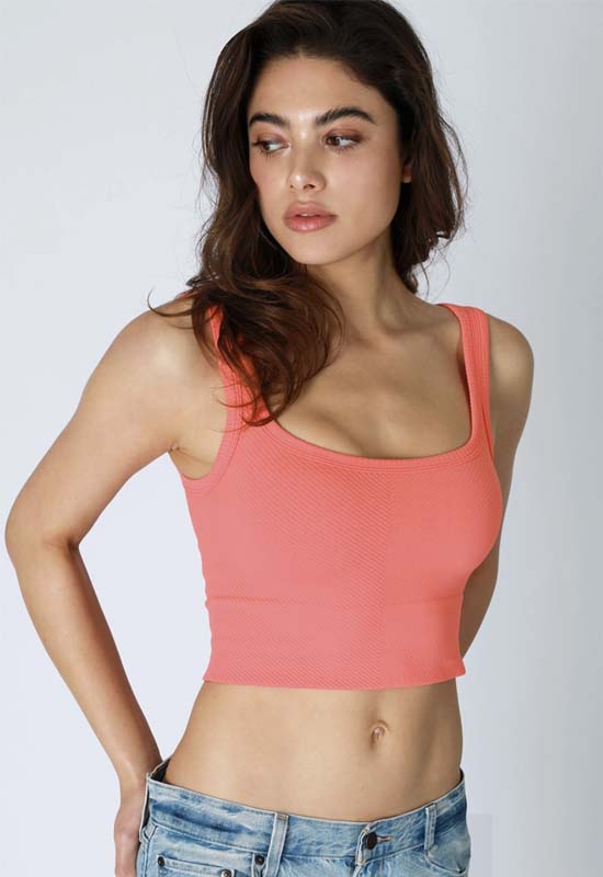 NIKIBIKI - Chevron Rib Crop Top Camelia