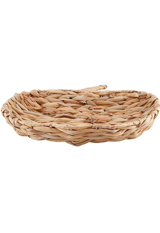 Hyacinth Pumpkin Tray